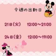 ヒメ日記 2026/04/20 11:15 投稿 まい【業界未経験】 茨城水戸ちゃんこ