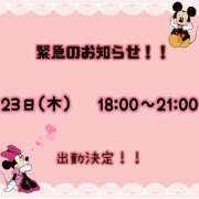 ヒメ日記 2026/04/21 23:35 投稿 まい【業界未経験】 茨城水戸ちゃんこ