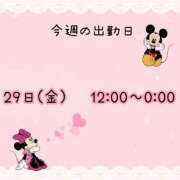ヒメ日記 2026/05/25 23:20 投稿 まい【業界未経験】 茨城水戸ちゃんこ