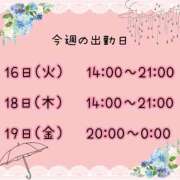 ヒメ日記 2026/06/15 19:05 投稿 まい【業界未経験】 茨城水戸ちゃんこ