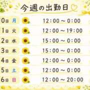 ヒメ日記 2026/08/10 10:15 投稿 まい【業界未経験】 茨城水戸ちゃんこ