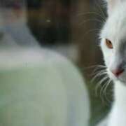 ヒメ日記 2025/04/02 12:21 投稿 ゆみこ 性腺熟女100％鶯谷（デリヘル市場）