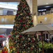 ヒメ日記 2025/11/19 15:03 投稿 ゆみこ 性腺熟女100％鶯谷（デリヘル市場）