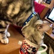 ヒメ日記 2024/12/18 08:25 投稿 さわ 性腺熟女100％鶯谷（デリヘル市場）