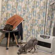 ヒメ日記 2024/12/25 08:14 投稿 さわ 性腺熟女100％鶯谷（デリヘル市場）