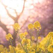 ヒメ日記 2025/03/08 08:57 投稿 さわ 性腺熟女100％鶯谷（デリヘル市場）