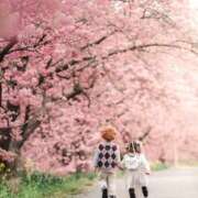 ヒメ日記 2025/03/29 15:40 投稿 さわ 性腺熟女100％鶯谷（デリヘル市場）