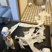 ヒメ日記 2025/04/06 09:17 投稿 さわ 性腺熟女100％鶯谷（デリヘル市場）