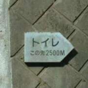 ヒメ日記 2025/04/15 23:20 投稿 さわ 性腺熟女100％鶯谷（デリヘル市場）