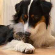 ヒメ日記 2025/04/24 20:10 投稿 さわ 性腺熟女100％鶯谷（デリヘル市場）