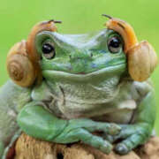 ヒメ日記 2025/06/12 12:08 投稿 さわ 性腺熟女100％鶯谷（デリヘル市場）