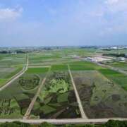 ヒメ日記 2025/07/03 23:15 投稿 さわ 性腺熟女100％鶯谷（デリヘル市場）