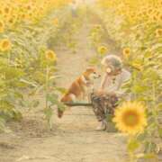 ヒメ日記 2025/09/06 00:13 投稿 さわ 性腺熟女100％鶯谷（デリヘル市場）