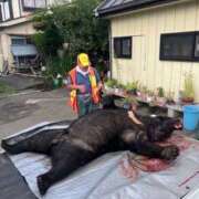 ヒメ日記 2025/10/08 22:56 投稿 さわ 性腺熟女100％鶯谷（デリヘル市場）