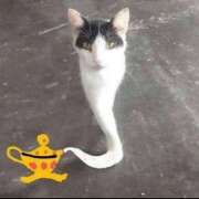 ヒメ日記 2025/12/04 07:34 投稿 さわ 性腺熟女100％鶯谷（デリヘル市場）