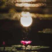 ヒメ日記 2025/12/09 21:21 投稿 さわ 性腺熟女100％鶯谷（デリヘル市場）