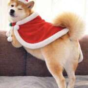 ヒメ日記 2025/12/23 23:26 投稿 さわ 性腺熟女100％鶯谷（デリヘル市場）