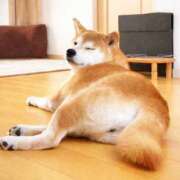 ヒメ日記 2025/12/29 14:26 投稿 さわ 性腺熟女100％鶯谷（デリヘル市場）