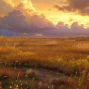 ヒメ日記 2025/12/31 17:04 投稿 さわ 性腺熟女100％鶯谷（デリヘル市場）