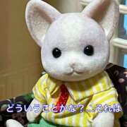 ヒメ日記 2026/01/21 12:29 投稿 さわ 性腺熟女100％鶯谷（デリヘル市場）