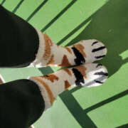 ヒメ日記 2026/01/30 07:54 投稿 さわ 性腺熟女100％鶯谷（デリヘル市場）