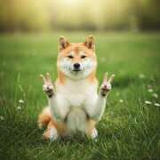 ヒメ日記 2026/02/03 09:00 投稿 さわ 性腺熟女100％鶯谷（デリヘル市場）