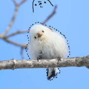 ヒメ日記 2026/02/08 07:49 投稿 さわ 性腺熟女100％鶯谷（デリヘル市場）