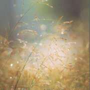 ヒメ日記 2026/02/11 07:25 投稿 さわ 性腺熟女100％鶯谷（デリヘル市場）