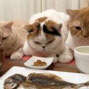 ヒメ日記 2026/04/09 07:52 投稿 さわ 性腺熟女100％鶯谷（デリヘル市場）