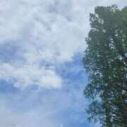 ヒメ日記 2026/04/15 13:09 投稿 さわ 性腺熟女100％鶯谷（デリヘル市場）