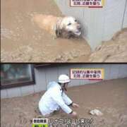 ヒメ日記 2026/09/08 21:40 投稿 さわ 性腺熟女100％鶯谷（デリヘル市場）