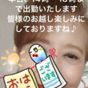 ヒメ日記 2025/11/05 07:55 投稿 えり 性腺熟女100％鶯谷（デリヘル市場）