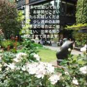 ヒメ日記 2025/12/30 18:20 投稿 えり 性腺熟女100％鶯谷（デリヘル市場）