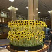 ヒメ日記 2025/08/07 09:00 投稿 まりこ 性腺熟女100％鶯谷（デリヘル市場）