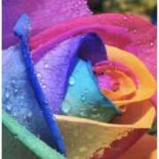 ヒメ日記 2025/12/28 17:10 投稿 まりこ 性腺熟女100％鶯谷（デリヘル市場）