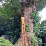 ヒメ日記 2025/08/22 09:23 投稿 あゆ 性腺熟女100％鶯谷（デリヘル市場）