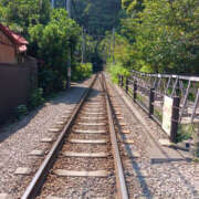 ヒメ日記 2025/08/31 09:14 投稿 あゆ 性腺熟女100％鶯谷（デリヘル市場）