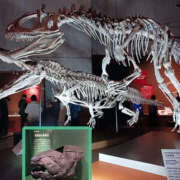 ヒメ日記 2025/11/07 09:44 投稿 あゆ 性腺熟女100％鶯谷（デリヘル市場）