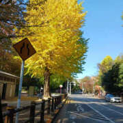 ヒメ日記 2025/11/19 09:12 投稿 あゆ 性腺熟女100％鶯谷（デリヘル市場）