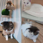 ヒメ日記 2026/01/04 08:19 投稿 あゆ 性腺熟女100％鶯谷（デリヘル市場）