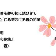 ヒメ日記 2026/03/19 07:36 投稿 あゆ 性腺熟女100％鶯谷（デリヘル市場）