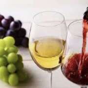 ヒメ日記 2024/12/30 23:04 投稿 なぎさ 性腺熟女100％鶯谷（デリヘル市場）