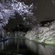 なぎさ 今日のお礼 性腺熟女100％鶯谷（デリヘル市場）