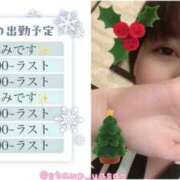 ヒメ日記 2024/12/23 12:04 投稿 いのり姫 螢