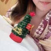 ヒメ日記 2024/12/25 15:54 投稿 いのり姫 螢