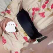 ヒメ日記 2025/01/13 23:40 投稿 いのり姫 螢