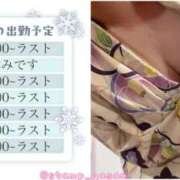 ヒメ日記 2025/01/19 12:04 投稿 いのり姫 螢