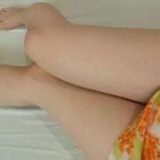 ヒメ日記 2025/02/17 12:00 投稿 いのり姫 螢