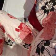 ヒメ日記 2025/02/20 23:29 投稿 いのり姫 螢