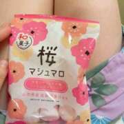 ヒメ日記 2025/03/25 23:31 投稿 いのり姫 螢